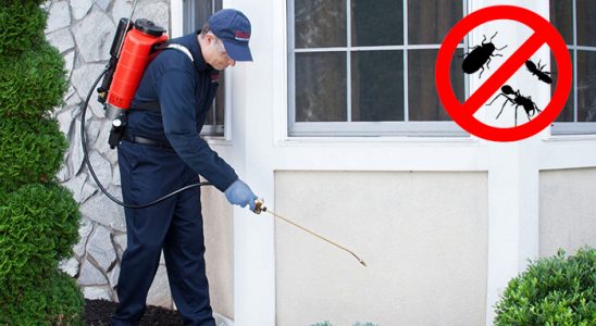Evka 4 Karınca İlaçlama böcek ilaçlama ve haşere kontrolü — ilaclama-tr.com